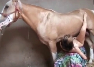 Jacked-up stallion is into bestiality sex