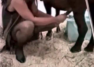 Twisted pony gets into bestiality banging