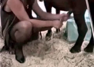 Twisted pony gets into bestiality banging
