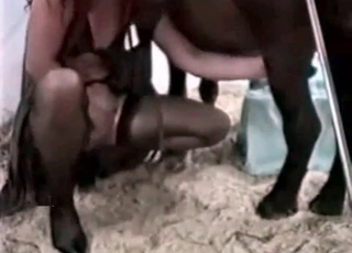 Twisted pony gets into bestiality banging