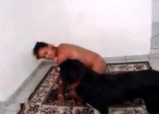 Beautiful zoophile chick and a horny dog