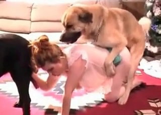 Beauty gets gang-banged by dogs