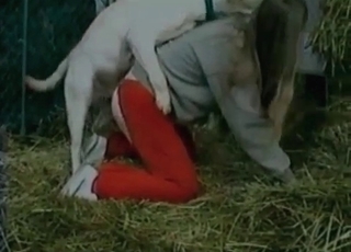 Intense bestiality with a kinky amateur