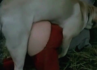 Intense bestiality with a kinky amateur