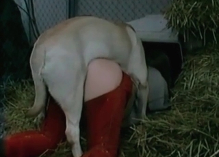 Intense bestiality with a kinky amateur