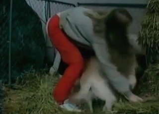 Intense bestiality with a kinky amateur