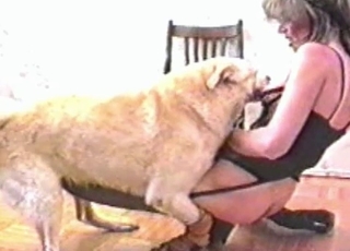 Sexy dog enjoying twisted bestiality