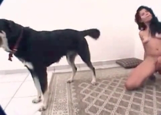 Hardcore sex session with a twisted dog