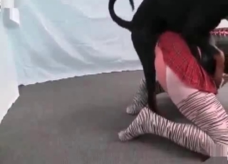 Black chick is into hardcore fucking