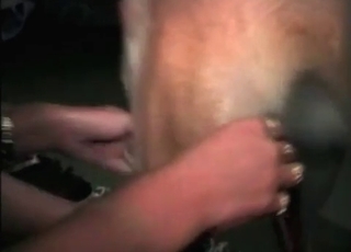 MILF wants her pussy licked thoroughly
