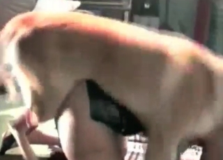 MILF wants her pussy licked thoroughly