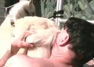 Horse getting its asshole fingered on cam