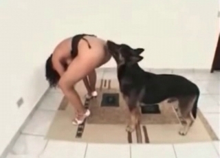 Long-legged zoophilic chick loves animals