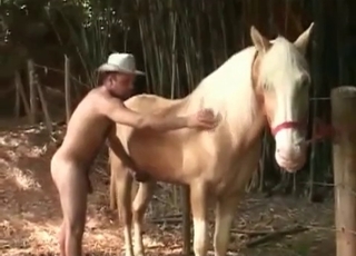 Blowjob for a throbbing horse cock