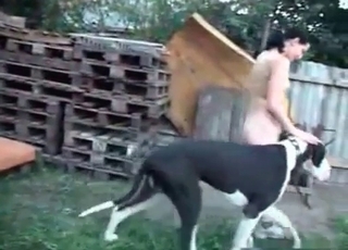 Giant dog enjoying hardcore sex