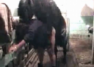 Horny pony enjoying hardcore bestiality