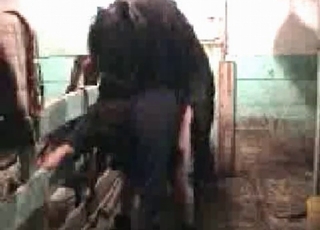 Horny pony enjoying hardcore bestiality