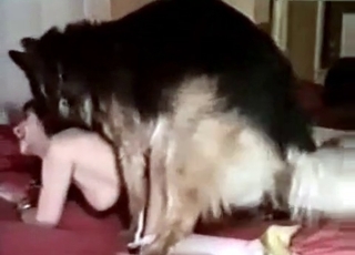 Zoophile chick fucks a shaggy dog