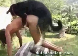 Animal enjoying a great-quality blowjob