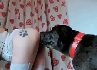 Perverted bestiality sex with a tight pussy