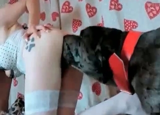 Perverted bestiality sex with a tight pussy