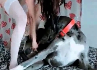 Perverted bestiality sex with a tight pussy