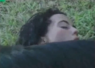 Hung horse with a black dick fucks a slut