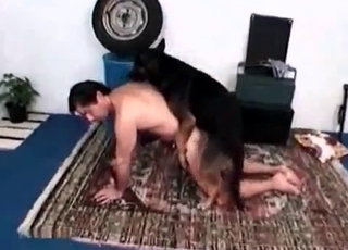 Guy's juicy asshole gets gaped by a dog