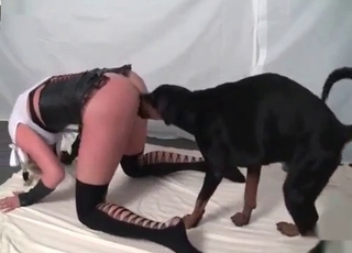 Lustful animal fucking a tight pussy