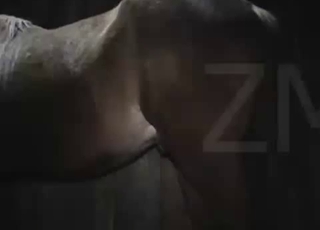 Kinky dude wants that massive elephant cock