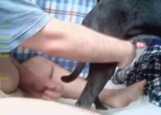 Insane handjob for a black big-dicked dog