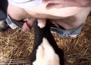 POV blowjob from a kinky-looking animal