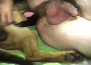 Sideways gay anal sex with a canine