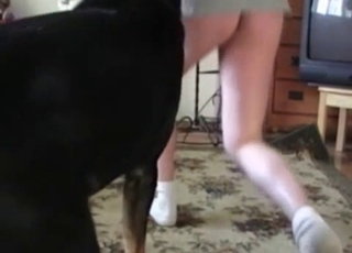 Black dog destroying a dude's asshole