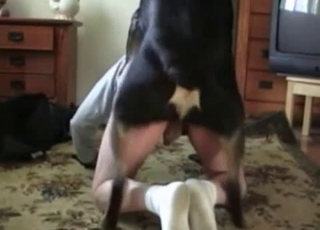 Black dog destroying a dude's asshole