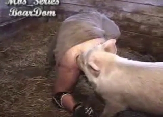 Big booty dude licked by a hot pig here