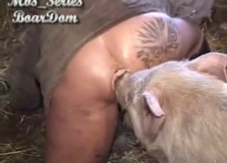 Big booty dude licked by a hot pig here