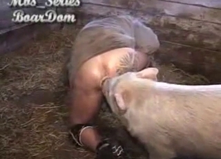 Big booty dude licked by a hot pig here