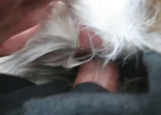 Dude happily fucking a horny animal