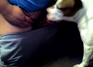 Big booty hottie fucks a horny doggo