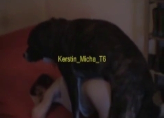 Redheaded zoophile seducing a doggo