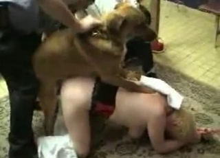 Short-haired MILF fucking a hung dog