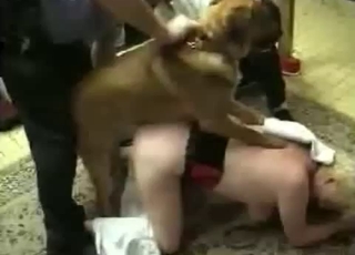 Short-haired MILF fucking a hung dog