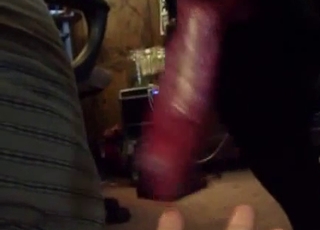 Red veiny dog dick getting teased