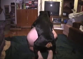 Hairy big booty dude fucking a dog