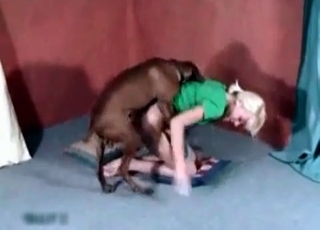 Blonde in green takes dog's cock