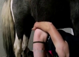 Horse cock is perfect for that hole