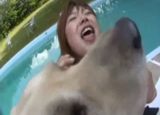 Asian angel is getting tons of pleasure from her doggy