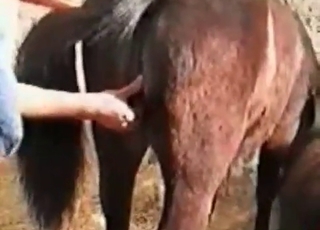 Hot dog enjoying ruthless sex