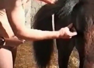 Hot dog enjoying ruthless sex